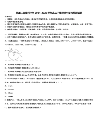 黑龙江省勃利中学2024-2025学年高二下物理期中复习检测试题含解析