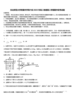 东北师范大学附属中学等六校2025年高二物理第二学期期中统考试题含解析