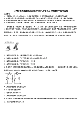 2025年黑龙江省齐齐哈尔市第八中学高二下物理期中统考试题含解析