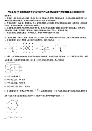 2024-2025学年黑龙江省虎林市东方红林业局中学高二下物理期中检测模拟试题含解析
