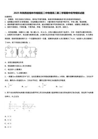 2025年陕西省榆林市榆阳区二中物理高二第二学期期中统考模拟试题含解析