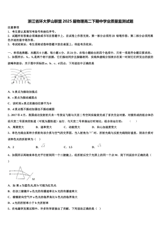 浙江省环大罗山联盟2025届物理高二下期中学业质量监测试题含解析