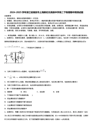 2024-2025学年浙江省瑞安市上海新纪元高级中学高二下物理期中预测试题含解析