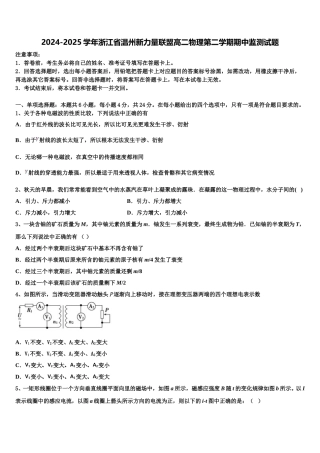 2024-2025学年浙江省温州新力量联盟高二物理第二学期期中监测试题含解析