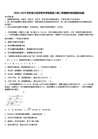 2024-2025学年浙江省学军中学物理高二第二学期期中检测模拟试题含解析
