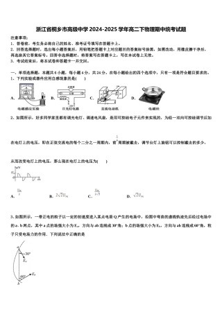 浙江省桐乡市高级中学2024-2025学年高二下物理期中统考试题含解析