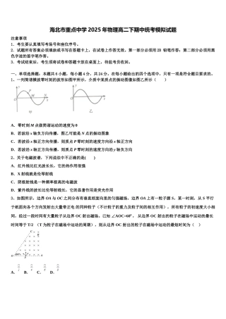 海北市重点中学2025年物理高二下期中统考模拟试题含解析