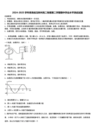 2024-2025学年青海省玉树州高二物理第二学期期中学业水平测试试题含解析