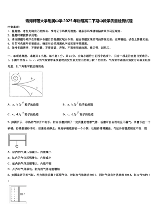 青海师范大学附属中学2025年物理高二下期中教学质量检测试题含解析