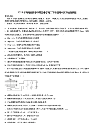 2025年青海省西宁市第五中学高二下物理期中复习检测试题含解析