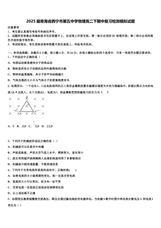 2025届青海省西宁市第五中学物理高二下期中复习检测模拟试题含解析