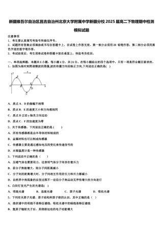 新疆维吾尔自治区昌吉自治州北京大学附属中学新疆分校2025届高二下物理期中检测模拟试题含解析