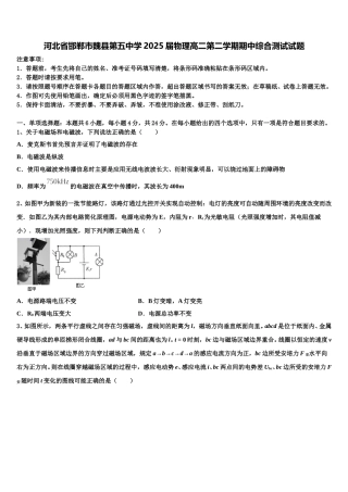 河北省邯郸市魏县第五中学2025届物理高二第二学期期中综合测试试题含解析