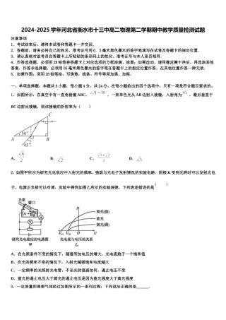 2024-2025学年河北省衡水市十三中高二物理第二学期期中教学质量检测试题含解析