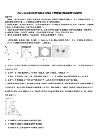 2025年河北省衡水市重点名校高二物理第二学期期中预测试题含解析