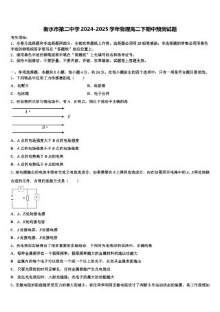 衡水市第二中学2024-2025学年物理高二下期中预测试题含解析