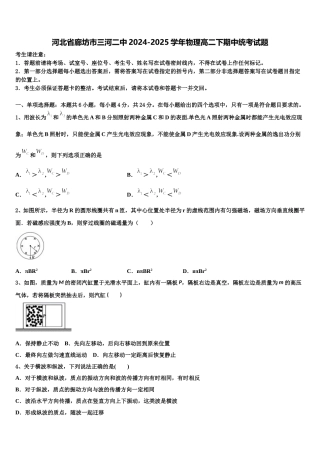 河北省廊坊市三河二中2024-2025学年物理高二下期中统考试题含解析