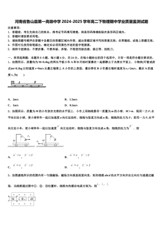 河南省鲁山县第一高级中学2024-2025学年高二下物理期中学业质量监测试题含解析