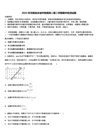 2025年河南省永城市物理高二第二学期期中检测试题含解析
