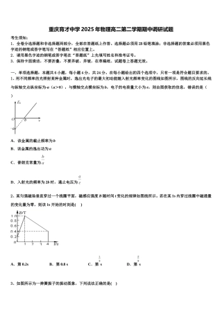 重庆育才中学2025年物理高二第二学期期中调研试题含解析