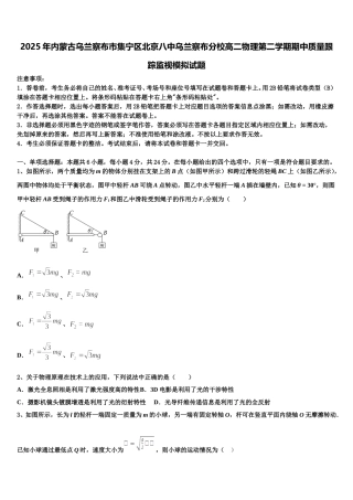2025年内蒙古乌兰察布市集宁区北京八中乌兰察布分校高二物理第二学期期中质量跟踪监视模拟试题含解析