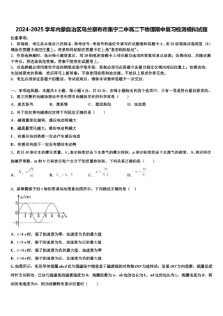 2024-2025学年内蒙自治区乌兰察布市集宁二中高二下物理期中复习检测模拟试题含解析