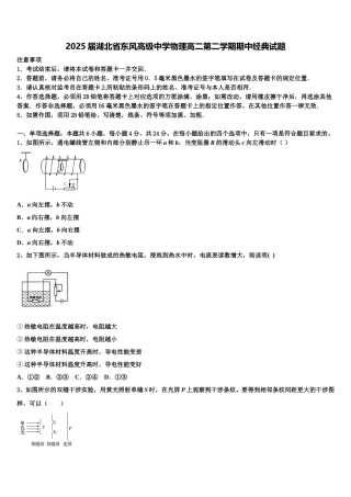 2025届湖北省东风高级中学物理高二第二学期期中经典试题含解析