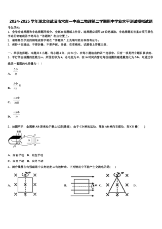 2024-2025学年湖北省武汉市常青一中高二物理第二学期期中学业水平测试模拟试题含解析
