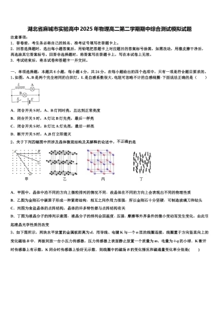 湖北省麻城市实验高中2025年物理高二第二学期期中综合测试模拟试题含解析