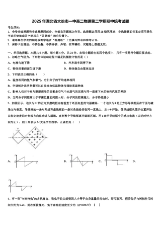 2025年湖北省大冶市一中高二物理第二学期期中统考试题含解析