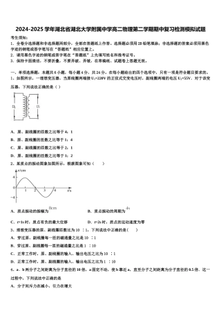 2024-2025学年湖北省湖北大学附属中学高二物理第二学期期中复习检测模拟试题含解析
