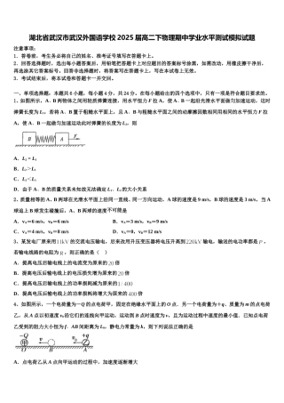 湖北省武汉市武汉外国语学校2025届高二下物理期中学业水平测试模拟试题含解析