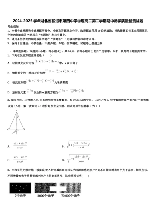2024-2025学年湖北省松滋市第四中学物理高二第二学期期中教学质量检测试题含解析