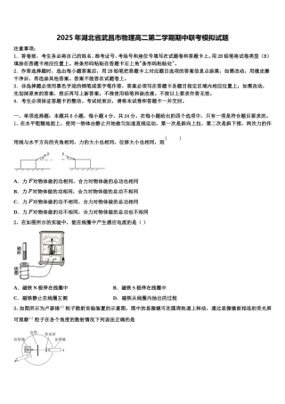2025年湖北省武昌市物理高二第二学期期中联考模拟试题含解析