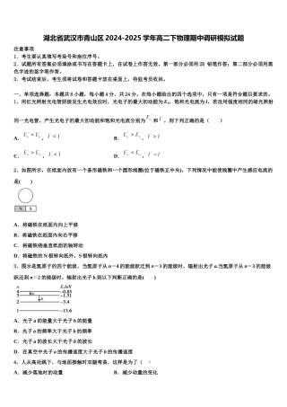 湖北省武汉市青山区2024-2025学年高二下物理期中调研模拟试题含解析