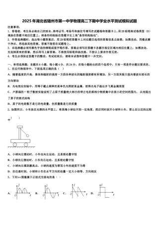 2025年湖北省随州市第一中学物理高二下期中学业水平测试模拟试题含解析
