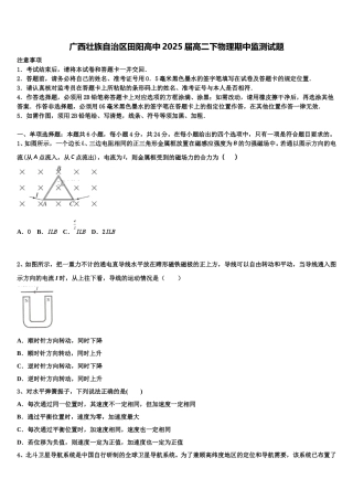 广西壮族自治区田阳高中2025届高二下物理期中监测试题含解析