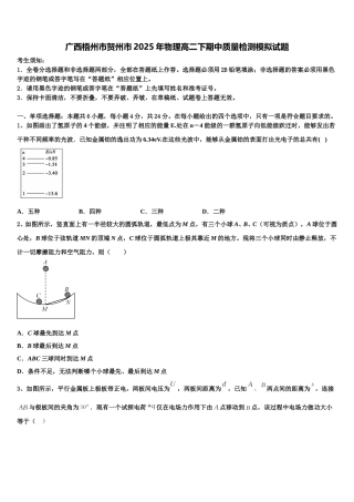 广西梧州市贺州市2025年物理高二下期中质量检测模拟试题含解析