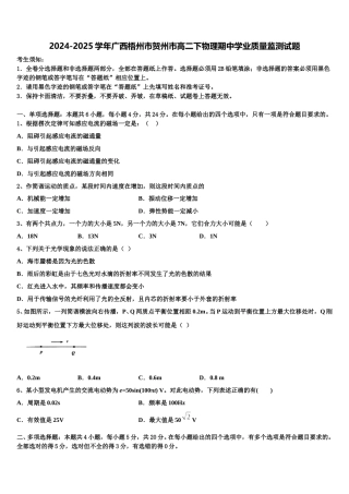 2024-2025学年广西梧州市贺州市高二下物理期中学业质量监测试题含解析