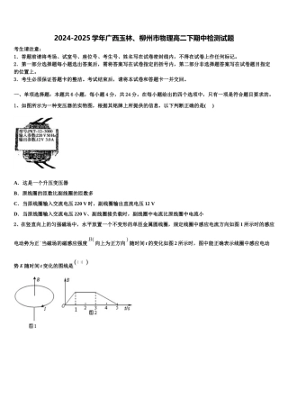 2024-2025学年广西玉林、柳州市物理高二下期中检测试题含解析