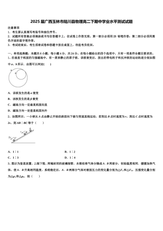 2025届广西玉林市陆川县物理高二下期中学业水平测试试题含解析