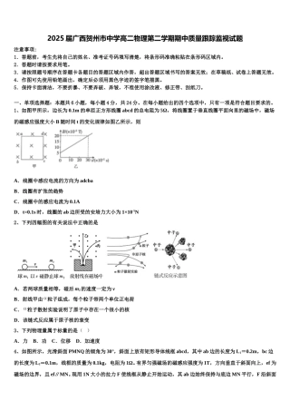 2025届广西贺州市中学高二物理第二学期期中质量跟踪监视试题含解析