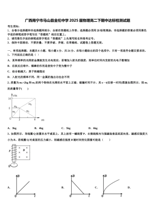 广西南宁市马山县金伦中学2025届物理高二下期中达标检测试题含解析