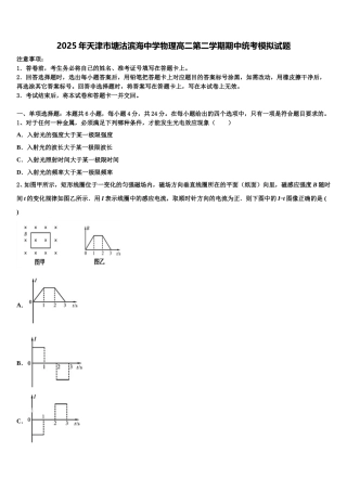 2025年天津市塘沽滨海中学物理高二第二学期期中统考模拟试题含解析