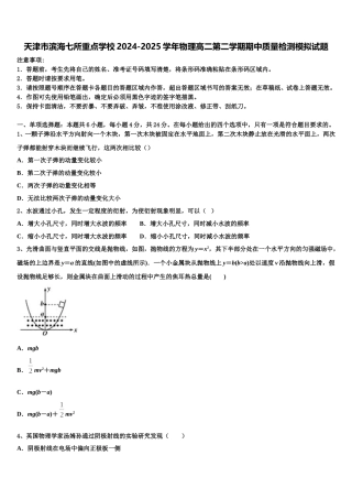 天津市滨海七所重点学校2024-2025学年物理高二第二学期期中质量检测模拟试题含解析