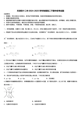 天津四十二中2024-2025学年物理高二下期中统考试题含解析