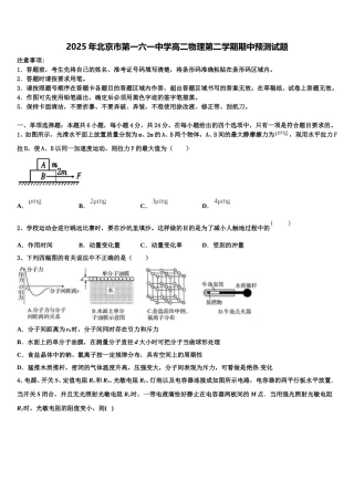 2025年北京市第一六一中学高二物理第二学期期中预测试题含解析