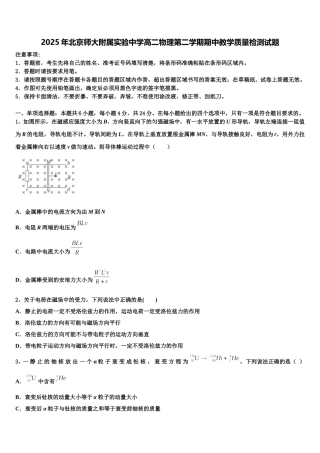 2025年北京师大附属实验中学高二物理第二学期期中教学质量检测试题含解析