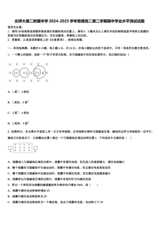 北师大第二附属中学2024-2025学年物理高二第二学期期中学业水平测试试题含解析