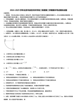2024-2025学年北京市徐悲鸿中学高二物理第二学期期中考试模拟试题含解析